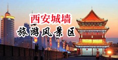 日日大屌中国陕西-西安城墙旅游风景区